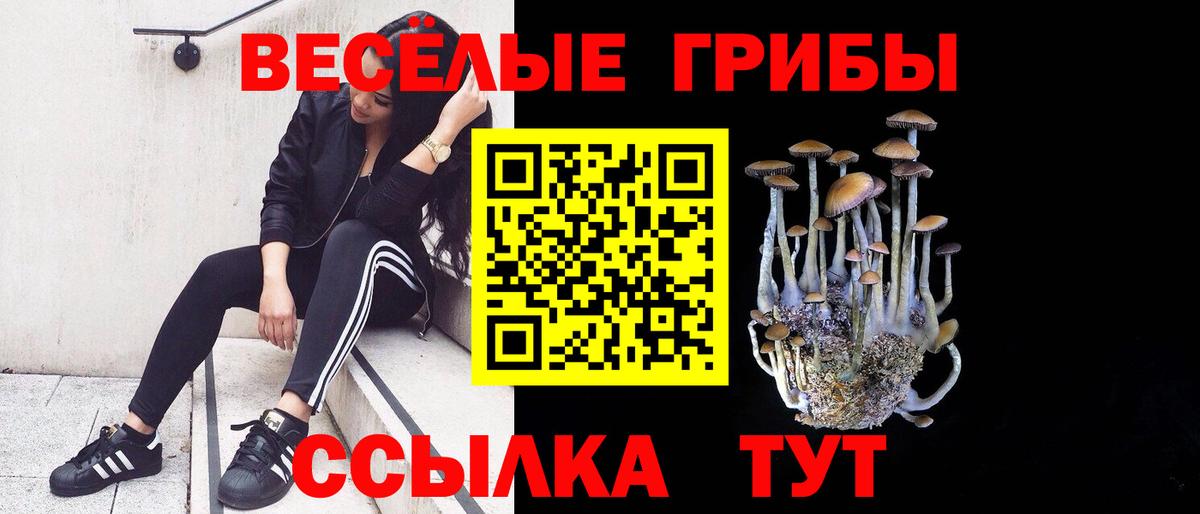 Псилоцибиновые грибы Psilocybine cubensis  Вход с VPN  Галлюциногенные грибы MAGIC MUSHROOMS  Сосновоборск 