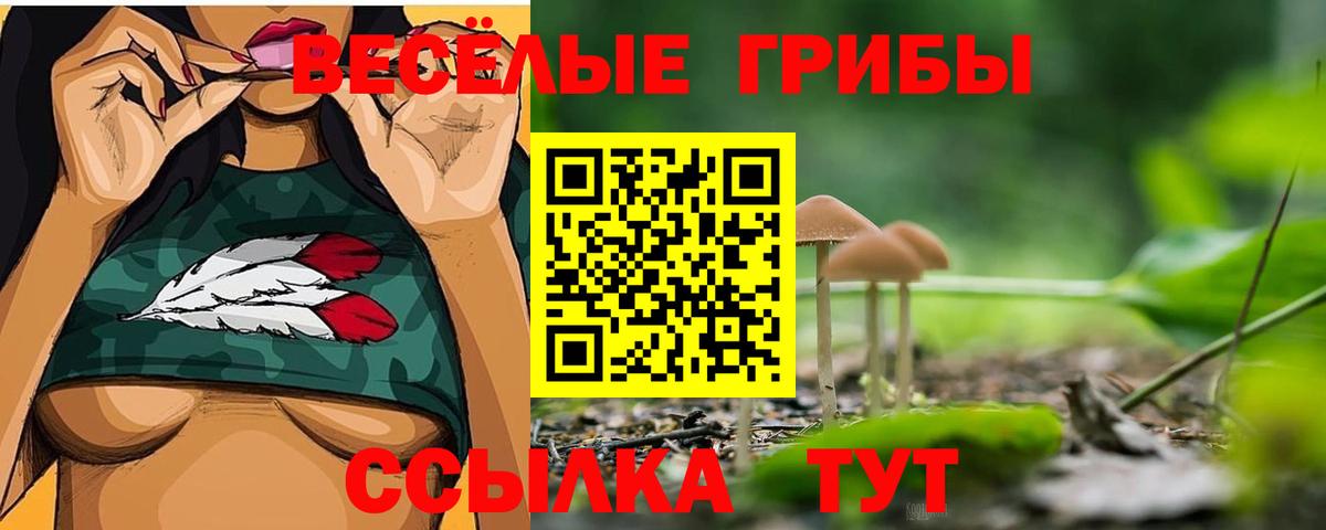 Галлюциногенные грибы мухоморы Сосновоборск